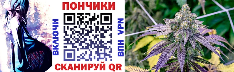 продажа наркотиков  Радужный  Канабис марихуана 